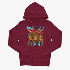Kids Just A Little Moody Hoodie