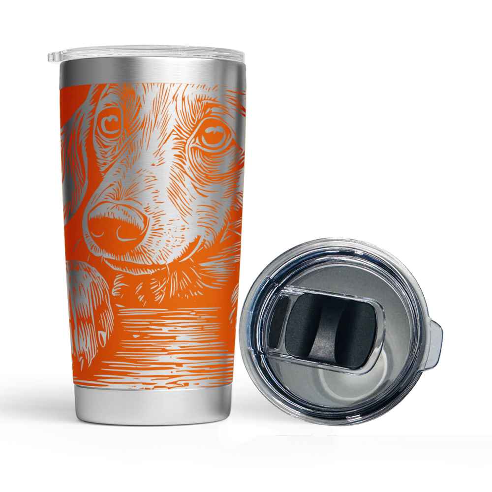 Engraved Peeking Dachshund Stainless Steel Tumbler