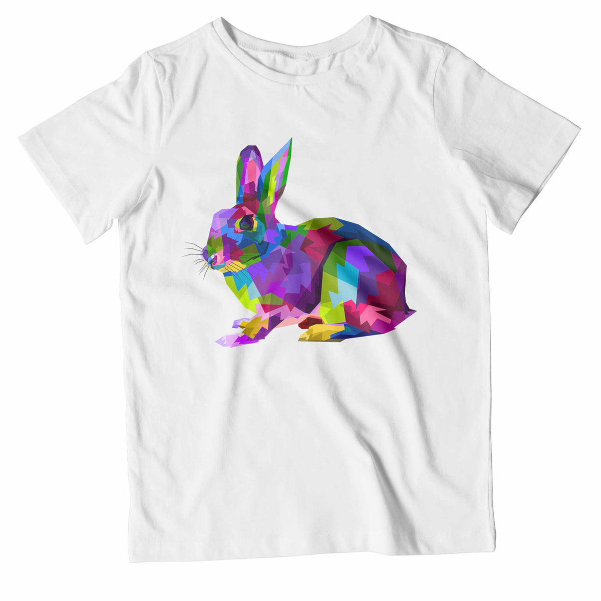 Kids Colourful Rabbit T-Shirt